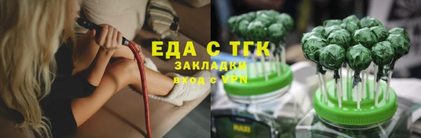 тгк Алзамай