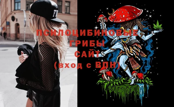 Альфа ПВП Алексин
