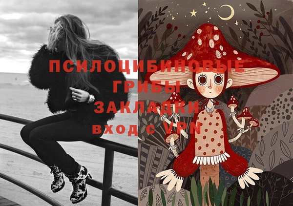 тгк Алзамай